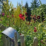Bauernhofferien Auf Mon * Askeby