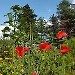 Bauernhofferien Auf Mon