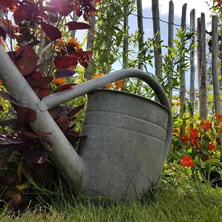 ベッド・アンド・ブレックファスト Bauernhofferien Auf Mon