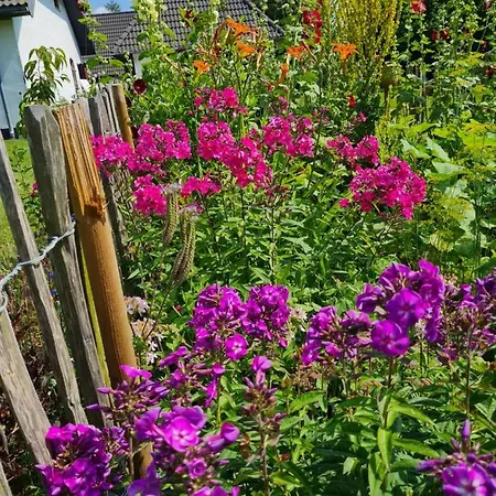 Bauernhofferien Auf Mon Askeby