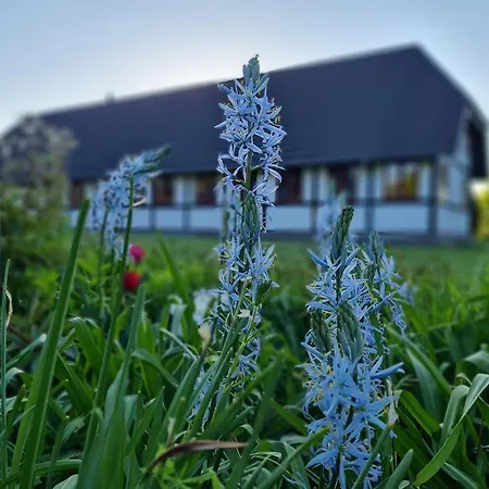 Bauernhofferien Auf Mon *