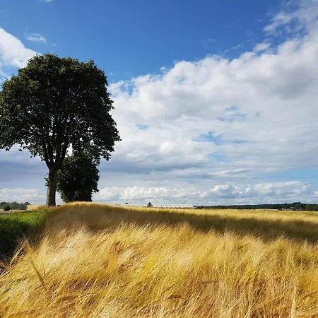Bauernhofferien Auf Mon *