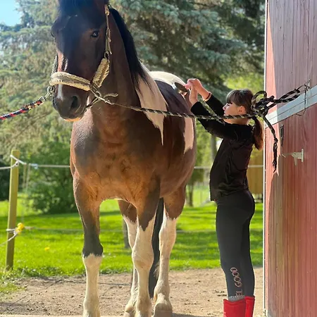 ベッド・アンド・ブレックファスト Bauernhofferien Auf Mon Askeby