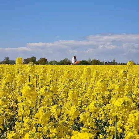 ベッド・アンド・ブレックファスト Bauernhofferien Auf Mon Askeby