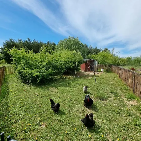 Bauernhofferien Auf Mon ベッド・アンド・ブレックファスト *