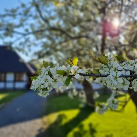 Bauernhofferien Auf Mon *