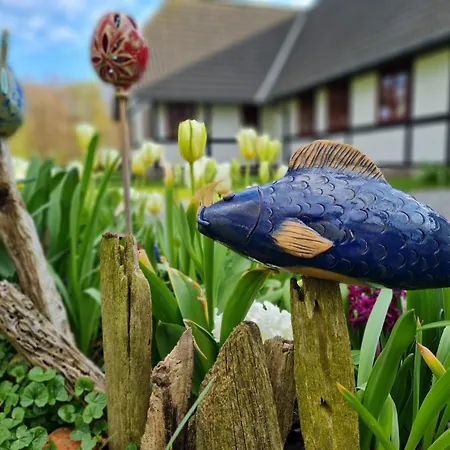 Bauernhofferien Auf Mon * Askeby
