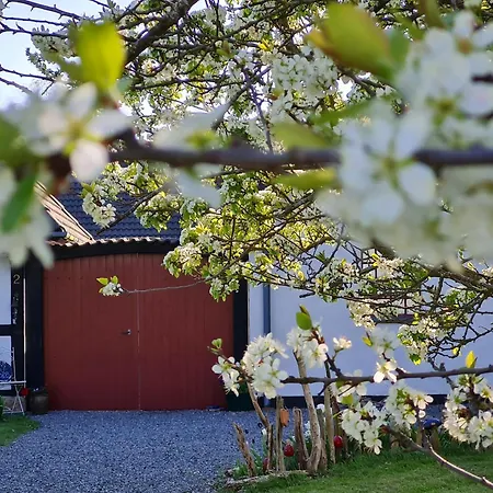 Bed & Breakfast Bauernhofferien Auf Mon