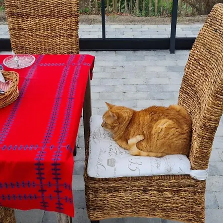 Bauernhofferien Auf Mon *